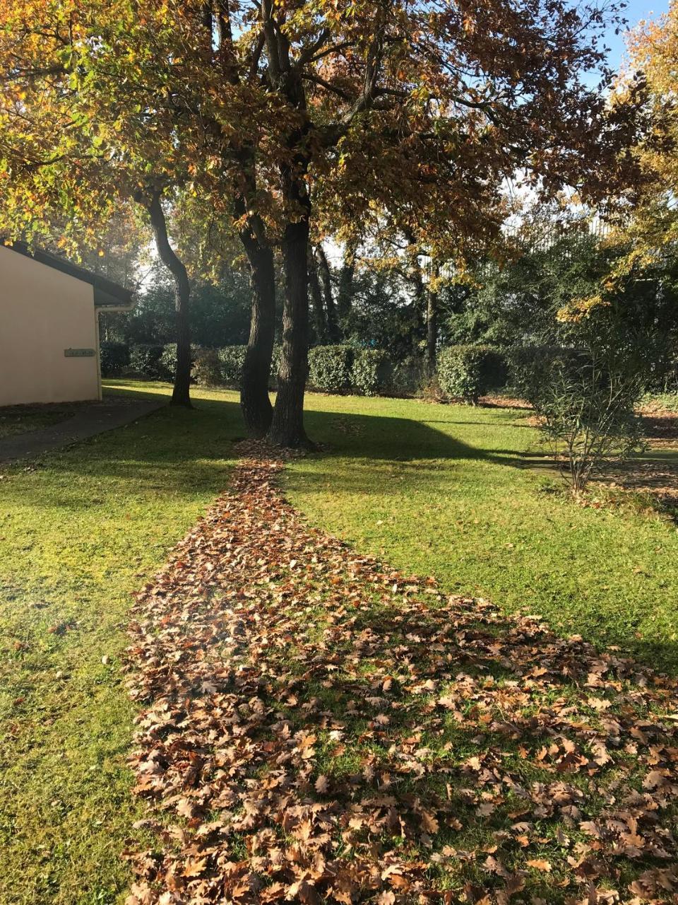 Residence Thibaud Toulouse Exterior photo
